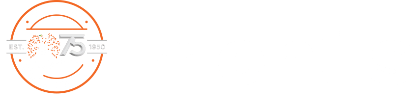 Mentis-International Logo